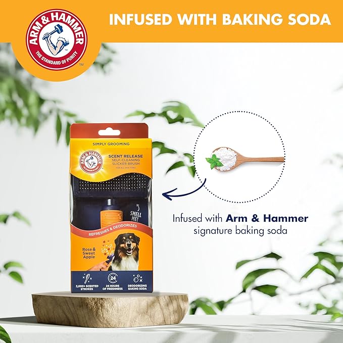 Arm & Hammer Deodorizing Slicker Brush for Dogs, Fragrance Transfer Technology with Baking Soda, Self-Cleaning Button, Removes Loose Fur & Tangles, Dog Grooming Brush, Sweet Apple & Rose Scent