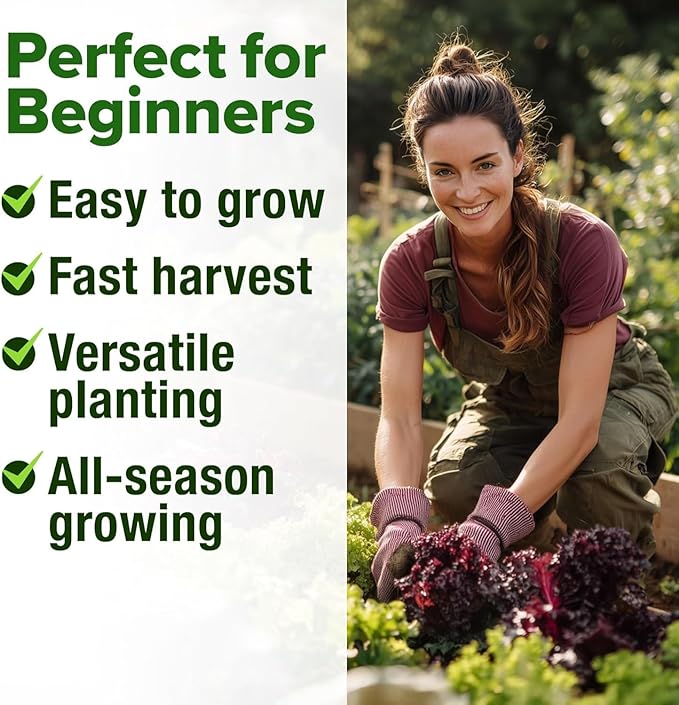 HOME GROWN Lettuce Seeds 8 Variety Mix 9000+ Bulk Pack Heirloom Non-GMO, High Germination, Romaine, Bibb, Buttercrunch, Leafy Greens,Indoor Outdoor Hydroponic Garden, Cut & Come Again (Lactuca sativa)