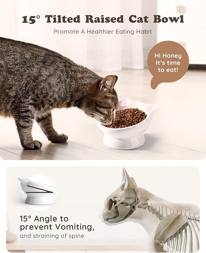 2Pcs Raised Cat Food Bowl Ceramic 15° Tilted Cat Food Bowls Protect Cat's Spine Anti Vomiting Backflow Prevention Bowls for Adult, Kitten, and Small Dogs, Pink