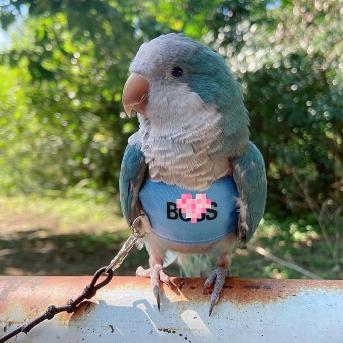 Bird Flight Harness Vest, Parrot Flight Suit with Leash, Bird Flying Clothes with Rope and Handle for Outdoor Activities (XL)