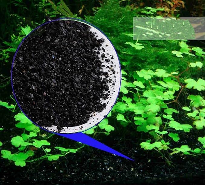 Hewnda 1 LB Natural Black Sand Aquarium Substrate | Polished Black Quartz Gravel Decorative Sand for Fish Tank,Succulent Top Dressing,Mini Landscape, Vase Filler,Ashtray Sand