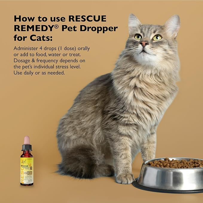 Bach Rescue Remedy Pet Dropper for Cats - 10 mL, Pack of 2 - Stress & Tension Support for Cats Natural Flower Essences - Sedative-Free, Homeopathic Liquid Formula - for All Breeds, Ages & Weights