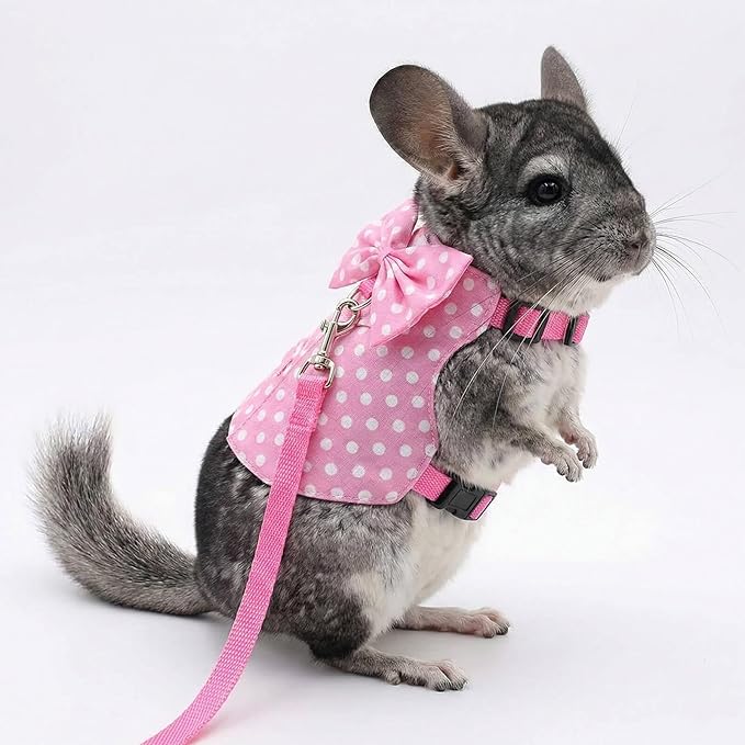 Bunny Harness and Leash Set, Soft Mesh Rabbit Harness with Bow, Adjustable Escape Proof Vest for Small Pets Rabbits Kittens Guinea Pigs (Pink Polka Dots, M)