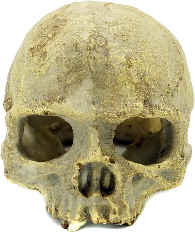 JIHAQUA Aquarium Resin Skull Ornament Snake Hide Decor, Habitat | Reptile Tank Accessories, Basking