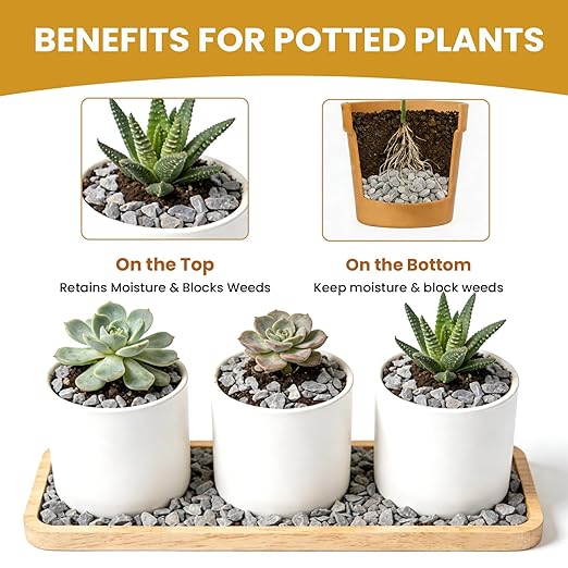 1/8 Inch Aquarium Gravel, Small Pebbles for Fish Tank & Indoor Plants, Natural Mini River Rocks for Succulent Soil Mix, Drainage, Terrarium & Vase Filler - Gray, 3 lb