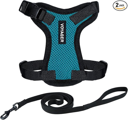 Voyager Escape-Proof Step-in Lock Cat Harness & 5ft Neoprene-Handle Leash Set All-Weather Mesh with Reflective Stitching for Small to Large Cats by Best Pet Supplies, Turquoise/Black Trim, XXXS