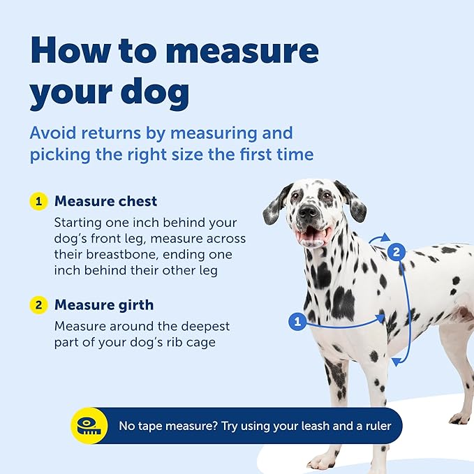 PetSafe Easy Walk No-Pull Dog Harness - The Ultimate Harness to Help Stop Pulling - Take Control & Teach Better Leash Manners - Helps Prevent Pets Pulling on Walks - Petite/Small, Black