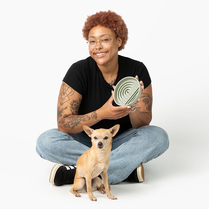 Should We Go? Slow Feeder for Dogs & Cats, The Slowdown Bowl Silicone Slow Eating Mealtime Solution with Modern Lick Mat Design, Reduces Gulping, Fits 1 Cup, 6” Across x 1.25” Tall, Small-Sage