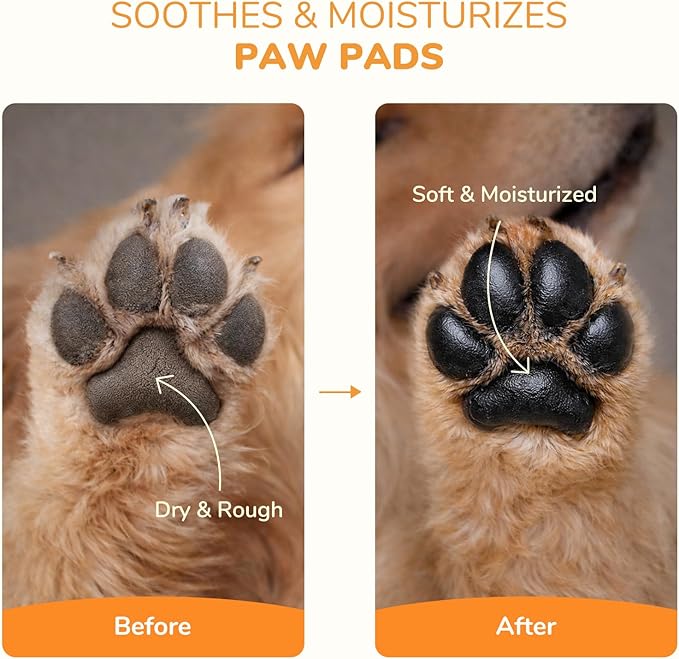 Lick-Safe Dog Paw & Nose Balm | 2.1 oz All Natural Wax with Coconut Oil & Shea Butter | Winter Snow, Road Salt & Hot Pavement Protector | Moisturizer for Dry, Rough Pads & Snouts