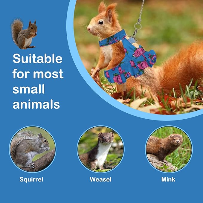 Guinea Pig Harness Skirt Clothes and Leash, Adjustable Hamster Ferret Harness and Leash Set, No Pull Walking Vest for Ferrets, Chinchillas and Similar Small Animals (Blue M)