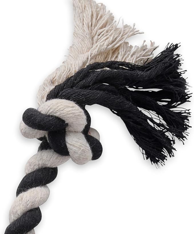 Pet Passion Natural Rubber Tire and Organic Cotton Rope Pull and Chew Dog Toy for All Pet Breeds, Black, Small