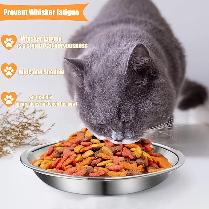 6 Pcs Stainless Steel Cat Bowls Shallow Wide Food Bowls for Cats Replacement Whisker Fatigue Relief for Small Dogs and Cats Indoors (Silver)
