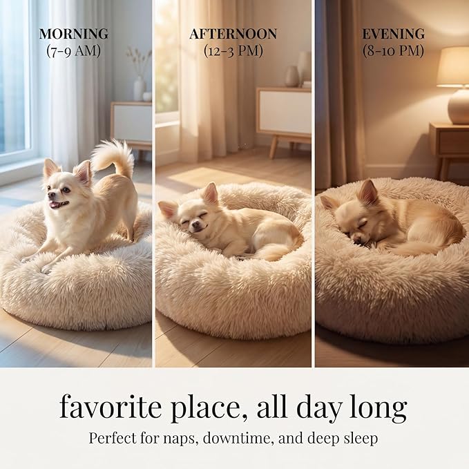 Calming Donut Dogs Beds for Small Dogs Washable,19inch Fluffy Round Puppy Bed for Puppies,Cats & Toy Breeds with Raised Rim,Fits up to 15 lbs Pets,Beige