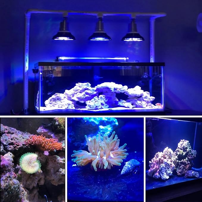 LED Aquarium Lights Bulb, 18W Saltwater Fish Light Full Spectrum Aquatic Plants Grow Lamp Refugium Light, 5 Colors LEDs Reef Lights for Marine Turtle Habitat