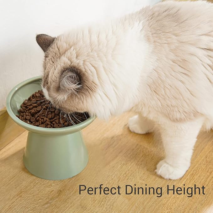 CEEFU Extra Wide Elevated Ceramic Cat Food Bowl - 6.2" Shallow Dish for Whisker Fatigue Relief, 5" Height for Easy Feeding, Lead & Cadmium Free, Durable Raised Cat Food Bowls, Sage Green