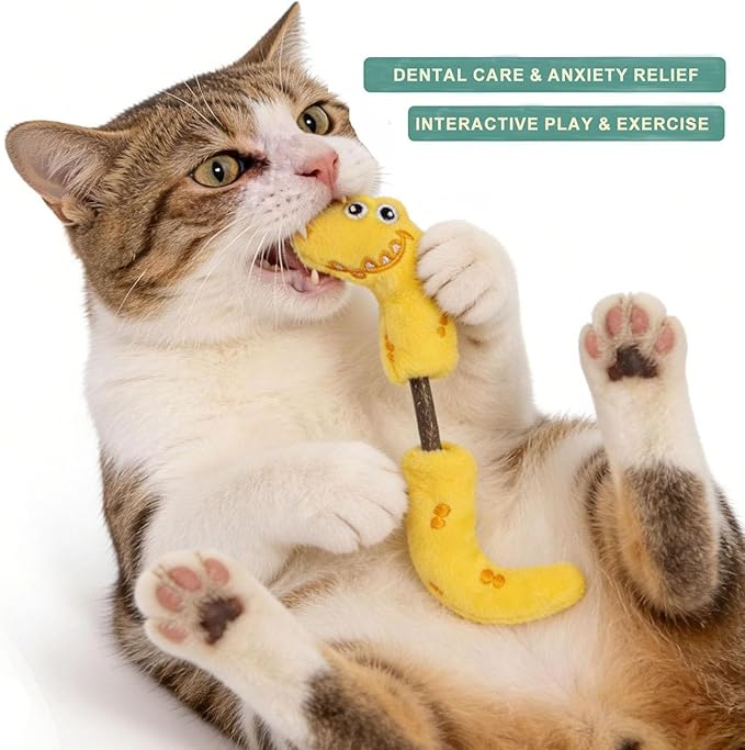 Interactive Cat Toys Set, Silvervine Chew Sticks and Catnip Spring Ropes, Indoor Cat Toys for Exercise and Dental Care, for All Cat Breeds (5 Packs)