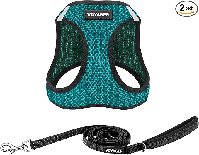 Best Pet Supplies Voyager Step-in Air All Weather Mesh Harness and Reflective Dog 5ft Leash Combo with Neoprene Handle, for Small, Medium and Large Breed Puppies - Set (Turquoise 2-Tone), Medium