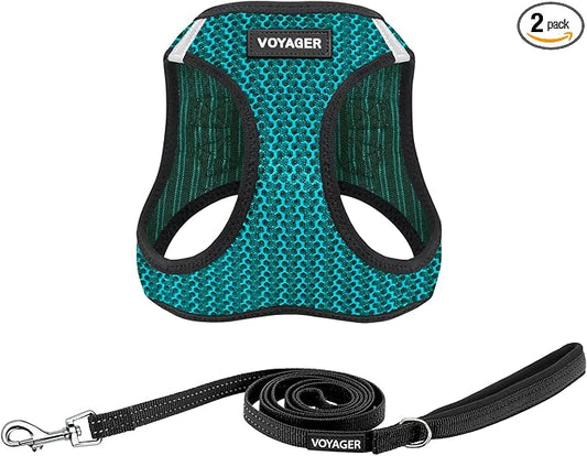Best Pet Supplies Voyager Step-in Air All Weather Mesh Harness and Reflective Dog 5ft Leash Combo with Neoprene Handle, for Small, Medium and Large Breed Puppies - Set (Turquoise 2-Tone), X-Small