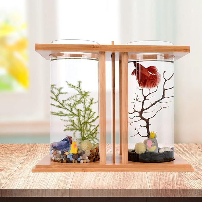 Desktop Mini Fish Tank, Dual Cylinder Glass Aquarium with LED Light, Bamboo Frame 360° View, Small Betta Goldfish Tank for Home Office Desk, 3.35 inch Diameter