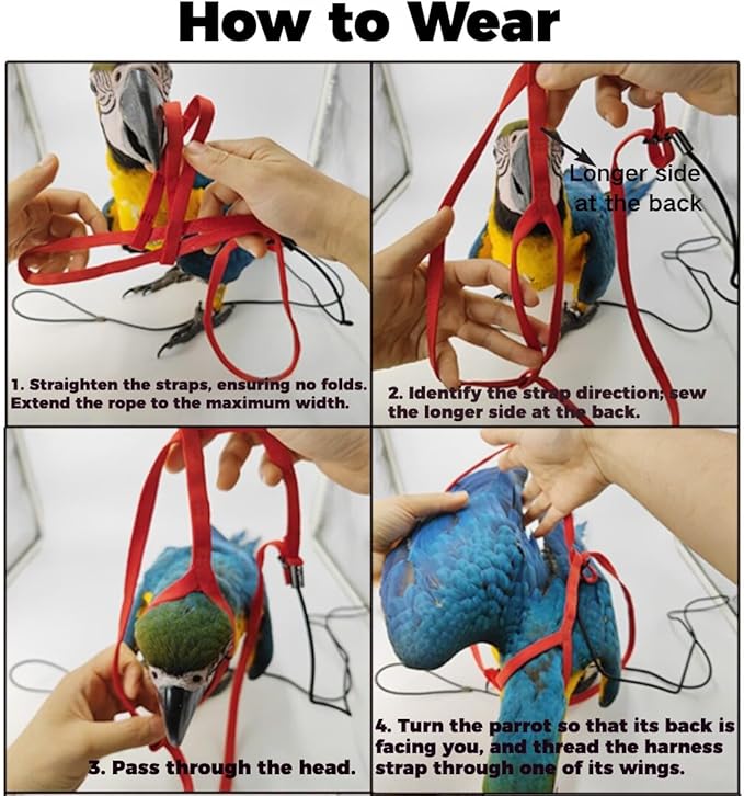 Adjustable Bird Harness and Leash for Parrots Outdoor Flight Training Anti-Bite Light Weight Easy-to-Wear Bird Vest with 59 Inch Elastic Leash for Quaker Conure African Grey Macaw Cockatoo (S)