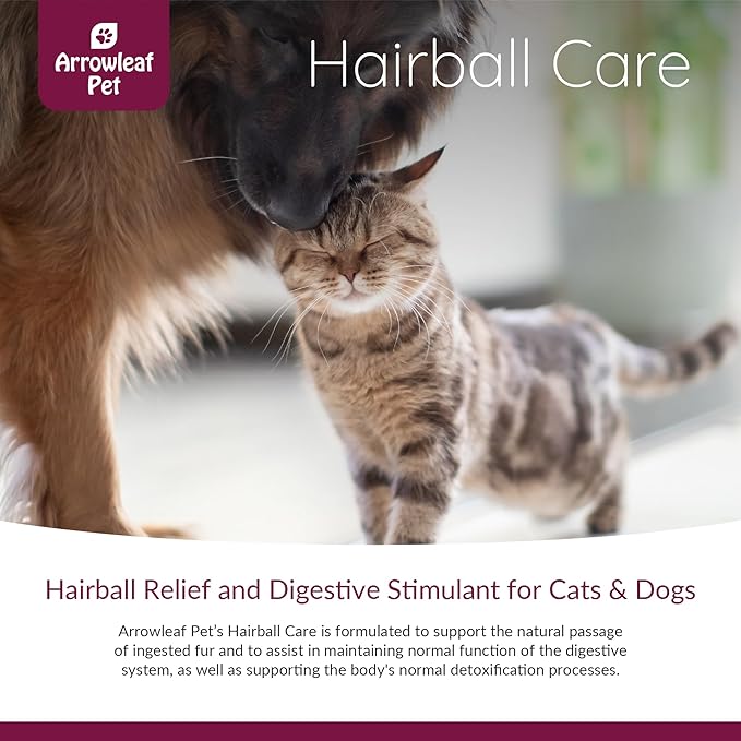 Hairball Care by NaturPet Inc | Digestive Support for Cats and Dogs | Hairballs, Constipation, Intestinal Discomfort | 100mL Herbal Tincture