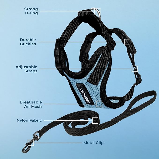 Voyager Escape-Proof Step-in Lock Cat Harness & 5ft Neoprene-Handle Leash Set All-Weather Mesh with Reflective Stitching for Small to Large Cats by Best Pet Supplies, Baby Blue/Black Trim, XXS