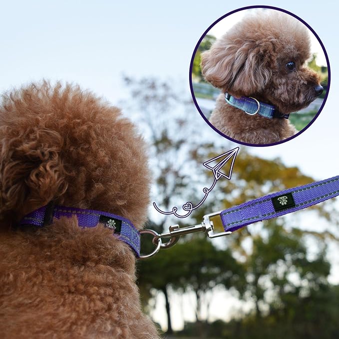 NESTROAD Dog Collar and Leash Set,Reflective Dog Collars with Quick Release Buckle,Adjustable Nylon Pet Collar for Small Medium Large Dogs(Small,Purple)