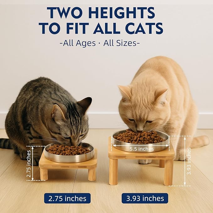 DoogCat Elevated Cat Bowls for Indoor Cats – Raised Bamboo Cat Bowl Stand with 5.5 Inch Wide Stainless Steel Dishes, Pet Food Table Plate for Easy Feeding, Whisker Friendly(Silver,Set of 2)