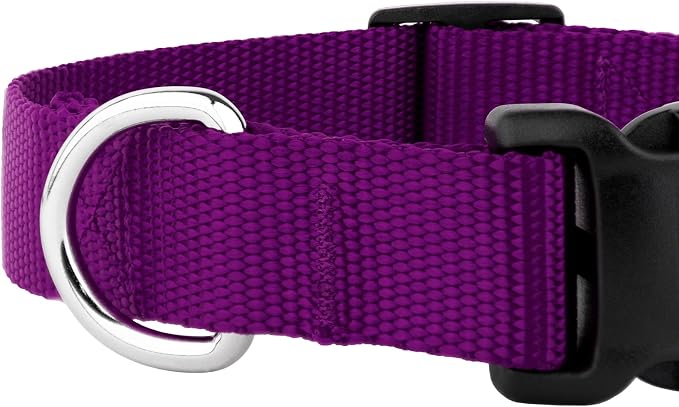 Country Brook Petz - Everyday Nylon Dog Collar and Leash - 10+ Cool Colors (3/4 Inch, Small, Purple)