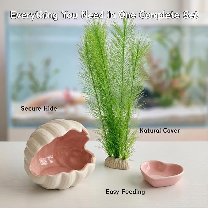 Axolotl Hide Ceramic Shell Shape Fish Tank Cave with Feeding Bowl | 3-Piece Aquarium Decor Kit with Silk Plant, Extra Large Habitat Shelter for Axolotls, Betta, Newts & Small Pet Frogs (Pink)