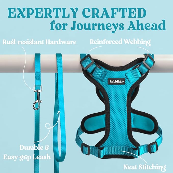 rabbitgoo Cat Harness and Leash for Walking, Escape Proof Soft Adjustable Vest Harnesses for Cats, Easy Control Breathable Reflective Strips Jacket, Teal, S
