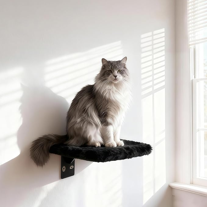 5 in 1 Cat Furniture Set with Soft Curved Pad，Modern Space-Saving Wall Mounted Shelves for Play & Rest