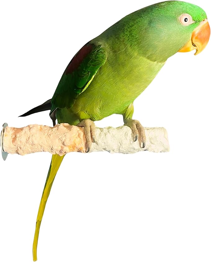 Polly's Edible Cuttlebone Calcium Bird Cage Perch for Budgies, Parakeets, Amazons, Blue & Golds, Macaws and Cockatoos.… (Orange, Medium)