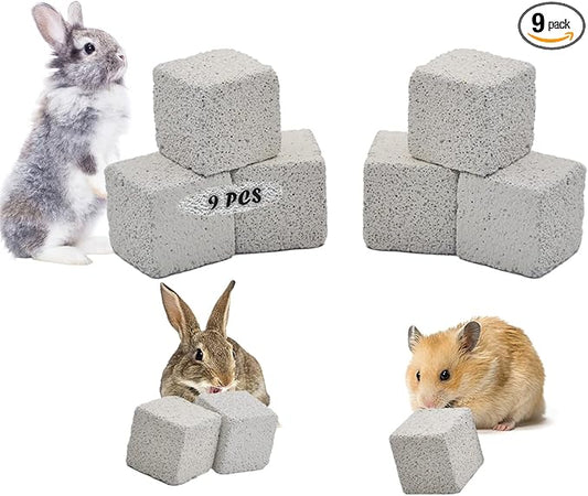 PINVNBY 9 Pcs Lava Blocks for Chinchillas,Hamster Chew Stones Square Mineral Calcium Bunny Teeth Pumice Grinding Chew Toys for Guinea Pig Rat Rodent