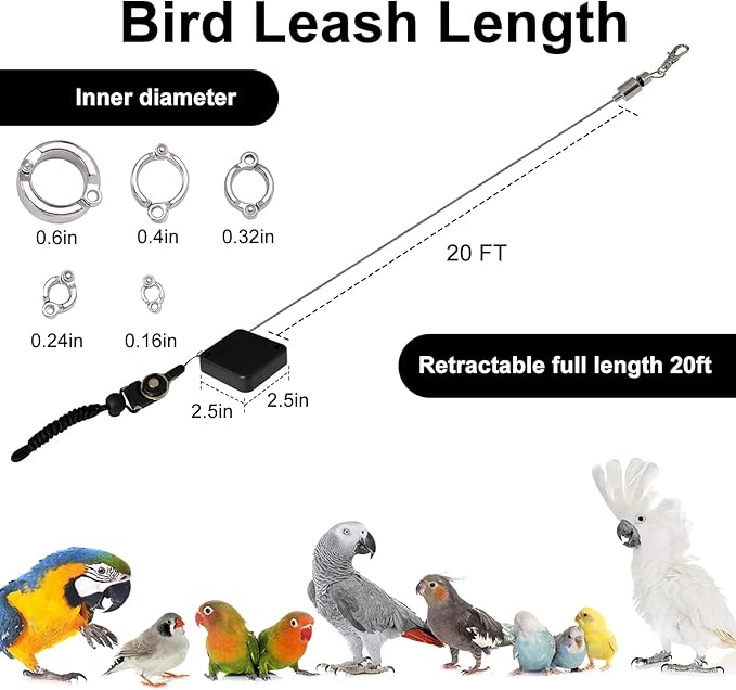 Retractable Bird Leash,Parrot Flying Rope,Anti-Bite Wire Rope Parrot Leash,Adjustable Bird Harness for Training,with 5pcs Alloy Foot Rings,for Budgies,Cockatiels,Crested Cockatoo,Macaws,20ft
