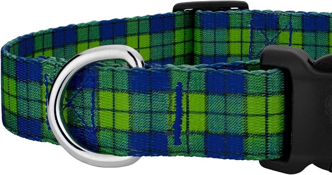 Country Brook Petz - Blue and Green Plaid Everyday Dog Collar and Leash - Plaid and Argyle Collection Featuring Charming Designs (1 Inch, Large)