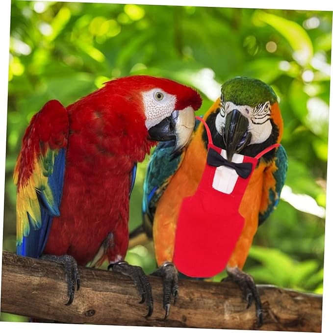 GANAZONO 1pc Parrot Diaper Birds Creative Pet Diaper Washable Bird Flight Suit Pet Clothing