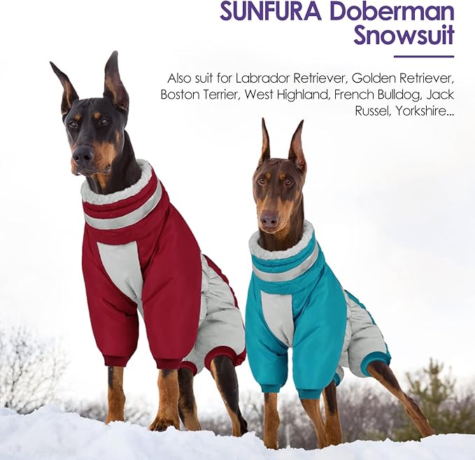 Full Body Dog Coat - Warm Fleece Jacket for Large Dogs, Turtleneck Winter Coats with Harness, Reflective Windproof Dog Snowsuit with Legs for Labrador,Golden Retriever, Turquoise 2XL