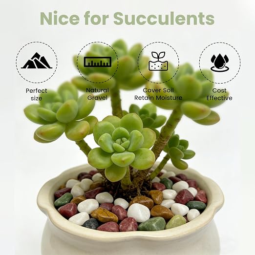 SIDONG 5 LB Natural Gravel Pebbles, 2/5 Inch Small Pea Gravel Stones, Decorative River Rocks for Succulents, Aquariums, Vases, Indoor Plants, Garden Landscaping, DIY