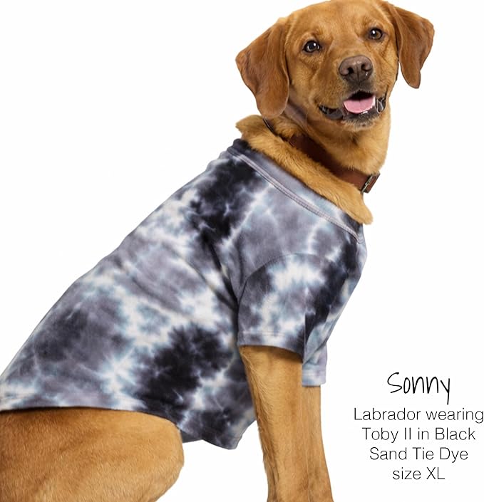 Pet Passion Toby II - The Perfect Tee, 3 Pack Short Sleeve Pet T-Shirt 100% Organic Cotton Tees Clothes for Small, Medium, Large Dogs, Black Sand Tie Dye, Medium (20-45 lbs)