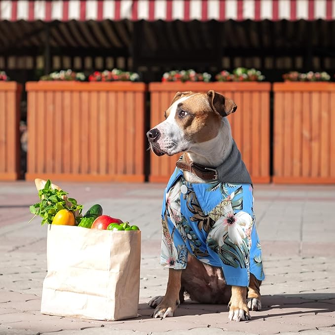 Weewooday 4 Pieces Small Pet Summer T-Shirts Hawaii Style Floral Pet Dog Shirt Breathable Cool Clothes Beach Seaside Puppy Sweatshirt for Puppy(Cute Style,X-Small)