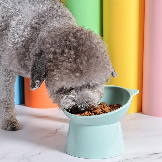 Tilted Elevated Cat Food Bowl - Cats Bowls Whisker Friendly Anti Vomiting Slanted Feeding Bowls Cute Shallow (Tall Cat Bowl-Green)