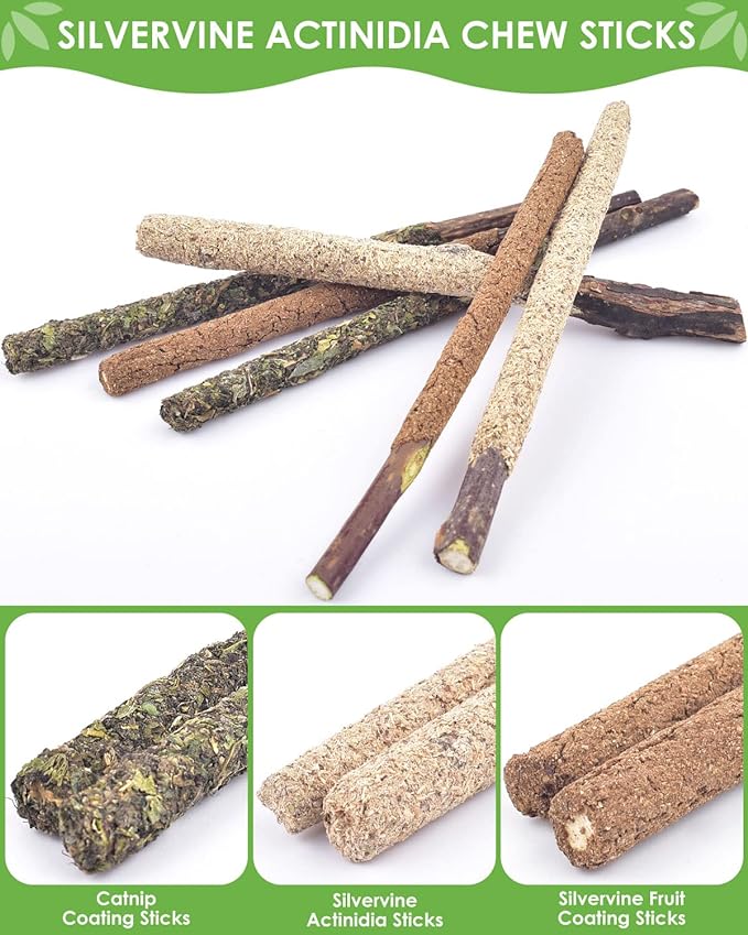 TINDTOP 12 Pack Chew Sticks for Cats, Natural Silvervine Catnip Toys for Kittens Teeth Cleaning, Matatabi Dental Care, Increase Appetite, Calm Cat Anxiety and Stress, Cat Dental Toy