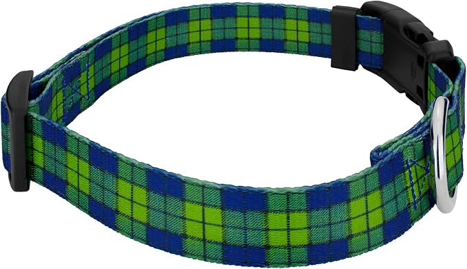 Country Brook Petz - Blue and Green Plaid Everyday Dog Collar and Leash - Plaid and Argyle Collection Featuring Charming Designs (1 Inch, Medium)