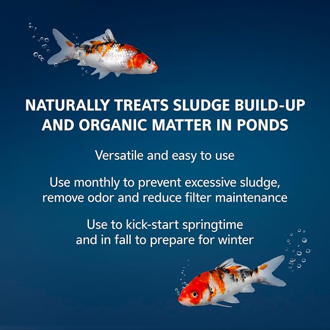 Aqueon Pure Sludge Bomb, Reduces Sludge and Organic Waste in Ponds and Koi Habitats, Breaks Down Muck and Clarifies, Treats 2500 Gallons, 1-Pack