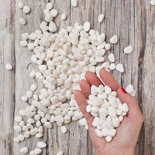 Royal Imports River Rocks, Aquarium Gravel – White 0.5"- 0.75" - 30 lbs | Decorative Ornamental Vase Filler Pebbles for Potted Plants, Terrariums, Vases, Succulents, Fish Tank Gravel, DIY & Crafting