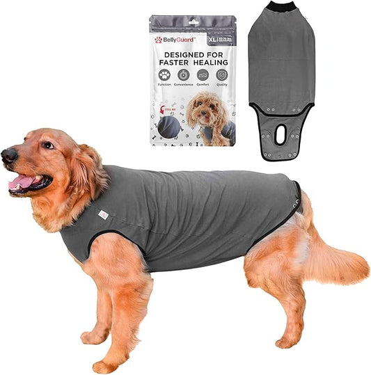 BellyGuard Dog Surgery Recovery Suit, Dog Onesie for Post-Op Care, Recovery Apparel for Female and Male, Surgical Body Cover for Canine Healing Support