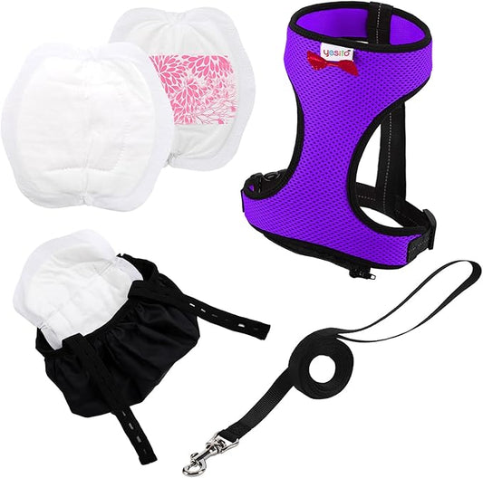Adjustable Chicken Harness Diaper (5.4ft Leash) – Breathable & Washable Secure Training for Hens, Ducks & Chicks | Outdoor Walking & Discipline Solution (Small, Purple)