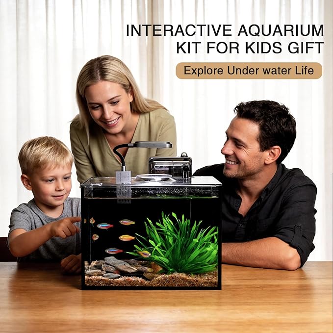 2 Gallon Betta Fish Tank, Small Aquarium Kit,Glass Small Fish Tank,Betta Fish Tank with a lid and Light and Filter, Small Transparent Glass Fish Tank with Light and Filter (Black Glass Background)