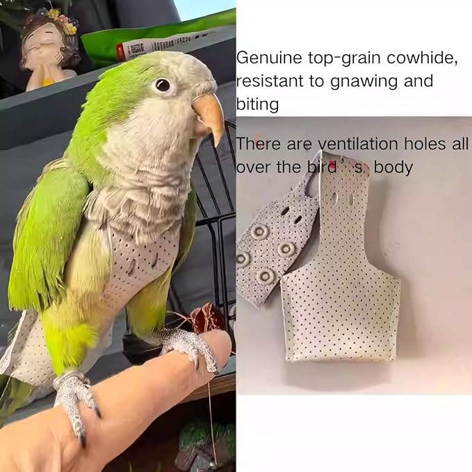 Premium Genuine Cowhide Bird Flight Harness Anti Bite Breathable Parrot Diaper Parrot Suit with Leash for Parakeet Conure Quaker Flying Clothes Rope and Handle (with Leash,Sulphur-Crested Cockatoo)